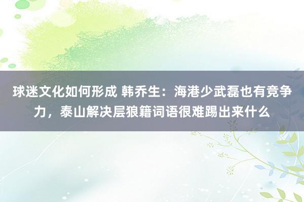 球迷文化如何形成 韩乔生：海港少武磊也有竞争力，泰山解决层狼籍词语很难踢出来什么