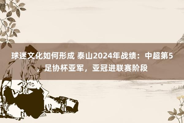 球迷文化如何形成 泰山2024年战绩：中超第5，足协杯亚军，亚冠进联赛阶段