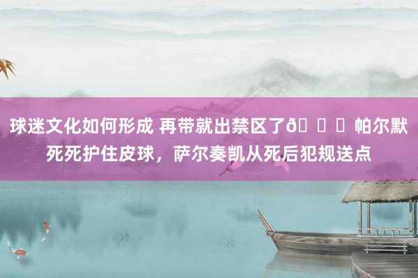 球迷文化如何形成 再带就出禁区了😂帕尔默死死护住皮球，萨尔奏凯从死后犯规送点