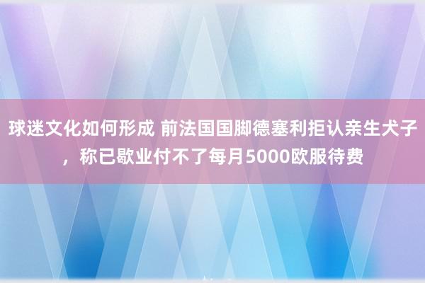 球迷文化如何形成 前法国国脚德塞利拒认亲生犬子，称已歇业付不了每月5000欧服待费