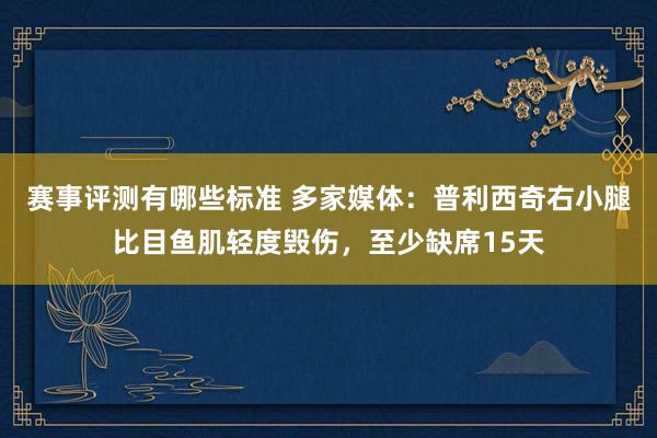 赛事评测有哪些标准 多家媒体：普利西奇右小腿比目鱼肌轻度毁伤，至少缺席15天