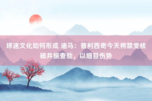 球迷文化如何形成 迪马：普利西奇今天将禁受核磁共振查验，以细目伤势