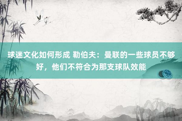 球迷文化如何形成 勒伯夫：曼联的一些球员不够好，他们不符合为那支球队效能