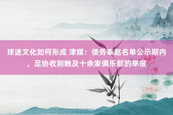 球迷文化如何形成 津媒：债务奉赵名单公示期内，足协收到触及十余家俱乐部的举报