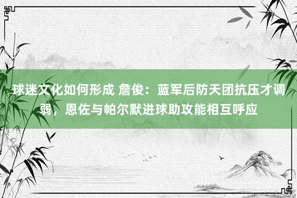 球迷文化如何形成 詹俊：蓝军后防天团抗压才调弱，恩佐与帕尔默进球助攻能相互呼应