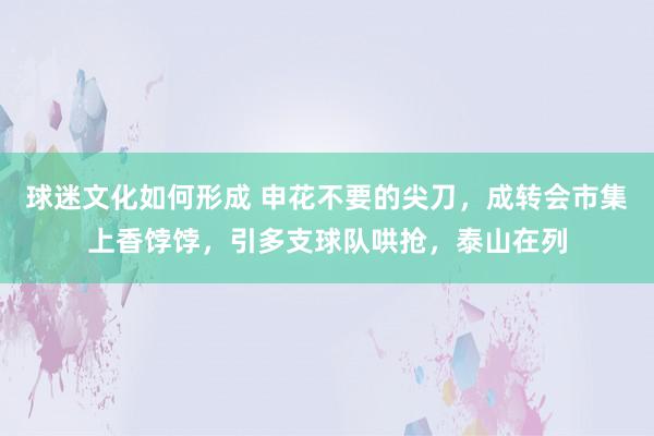 球迷文化如何形成 申花不要的尖刀，成转会市集上香饽饽，引多支球队哄抢，泰山在列